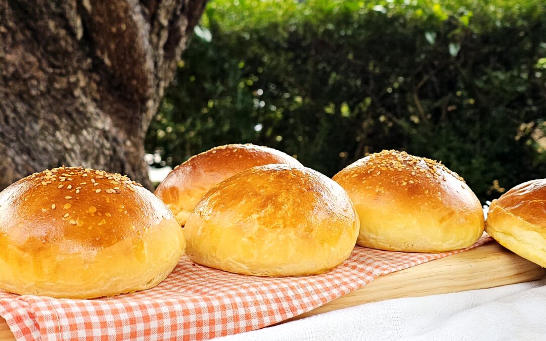 Panini per hamburger, potato buns